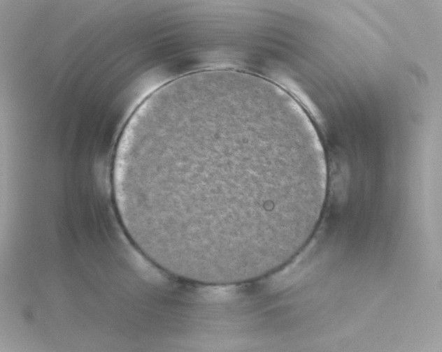 X0000115500810200911271408