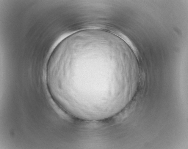 X0000115500811200911271408