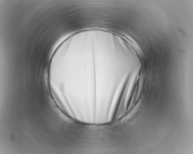 X0000115500812200911271408