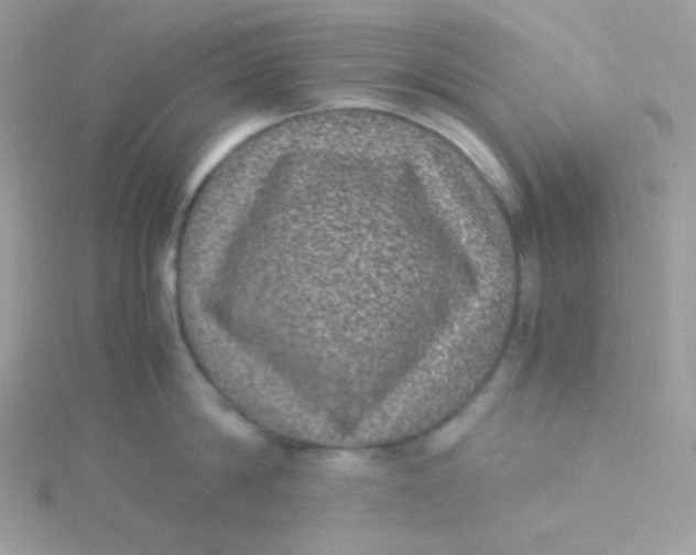 X0000115500814200911271408