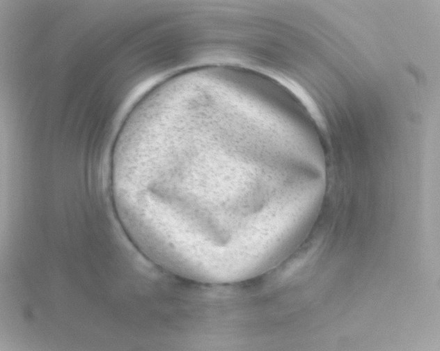 X0000115500815200911271408