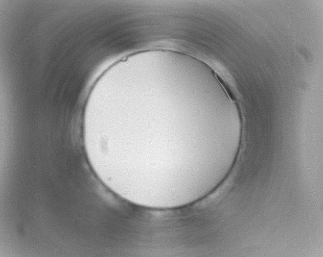 X0000115500816200911271408