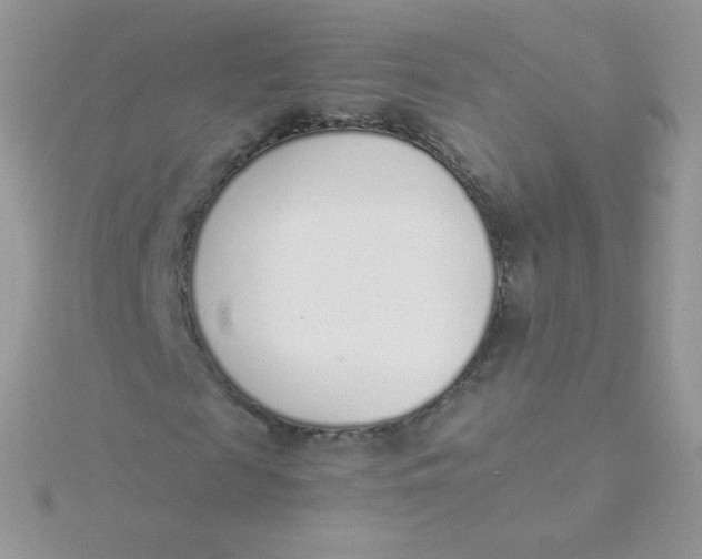 X0000115500817200911271408