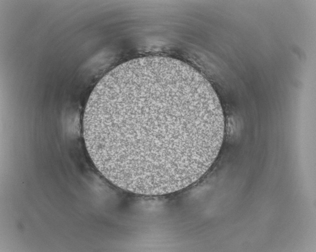 X0000115500820200911271408