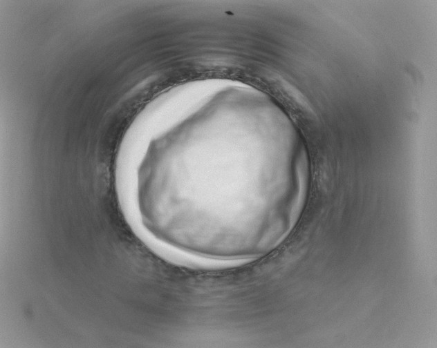 X0000115500821200911271408