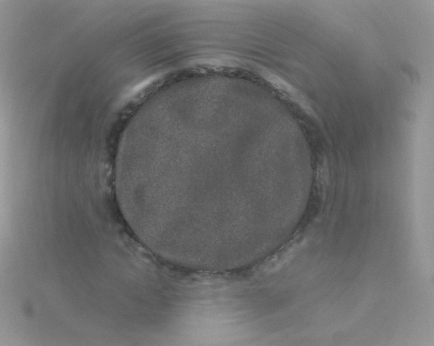 X0000115500822200911271408