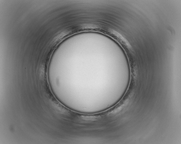 X0000115500825200911271408