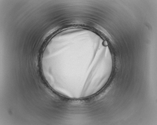 X0000115500826200911271408