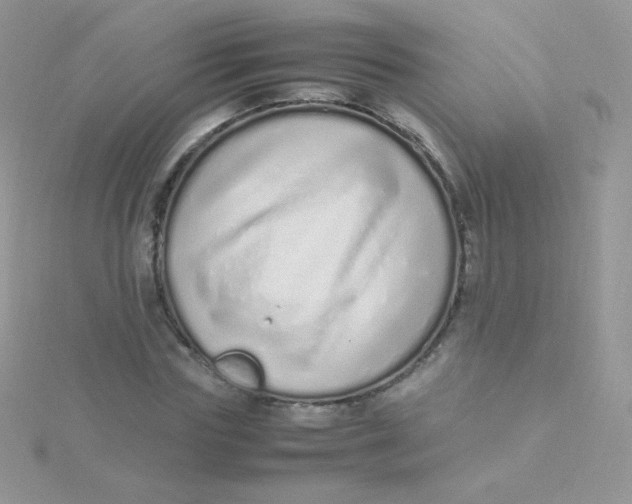 X0000115500827200911271408