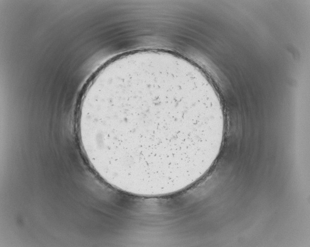 X0000115500828200911271408