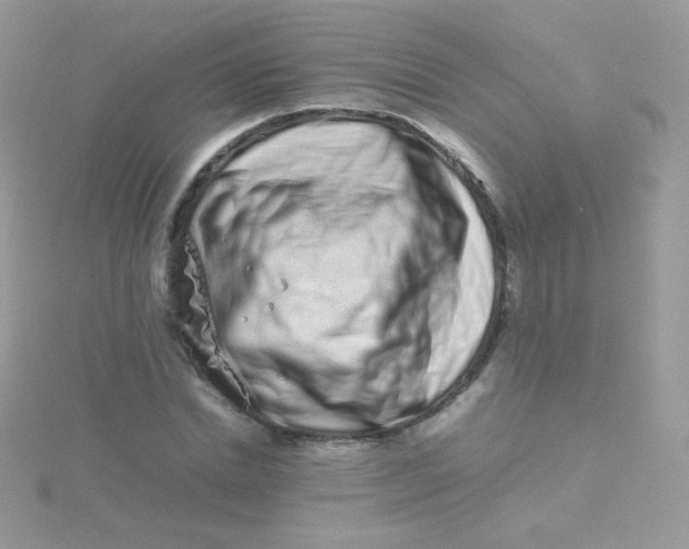 X0000115500830200911271408