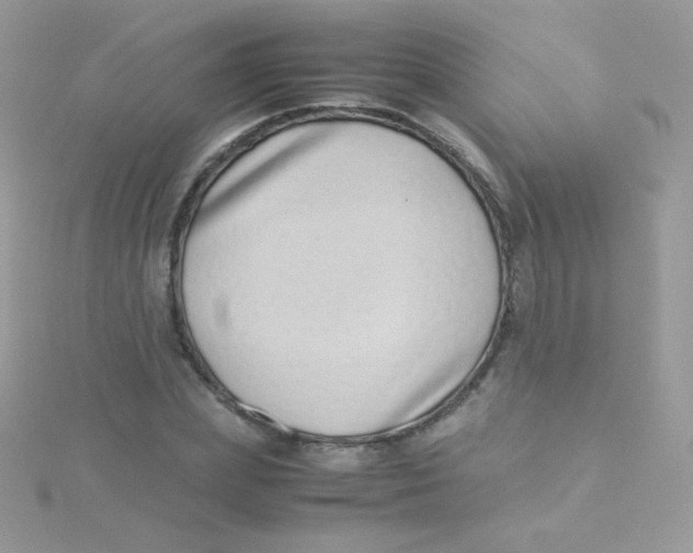 X0000115500831200911271408