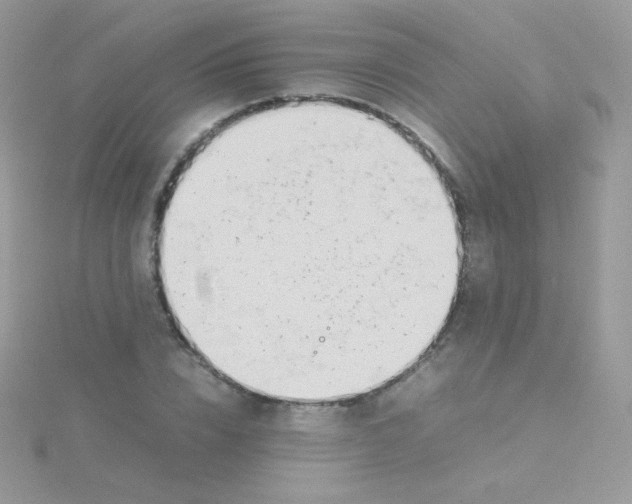 X0000115500832200911271408