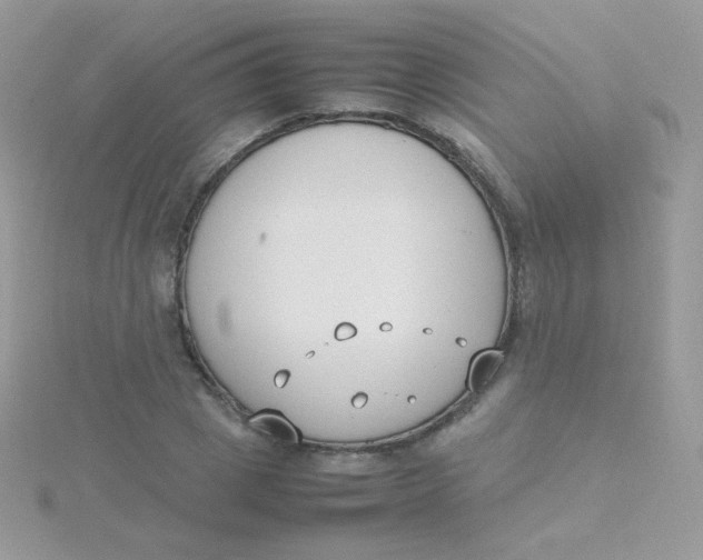 X0000115500833200911271408