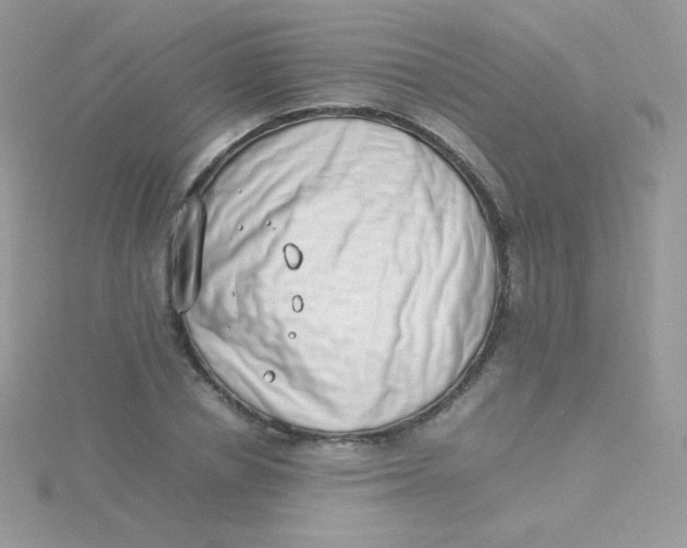 X0000115500834200911271408