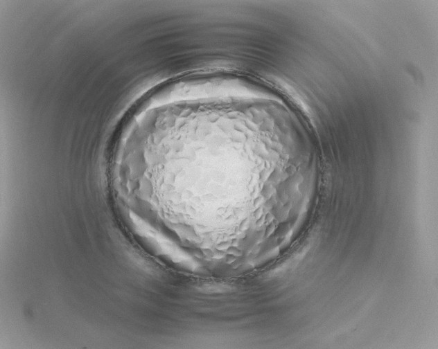 X0000115500835200911271408