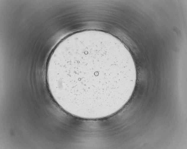 X0000115500836200911271408