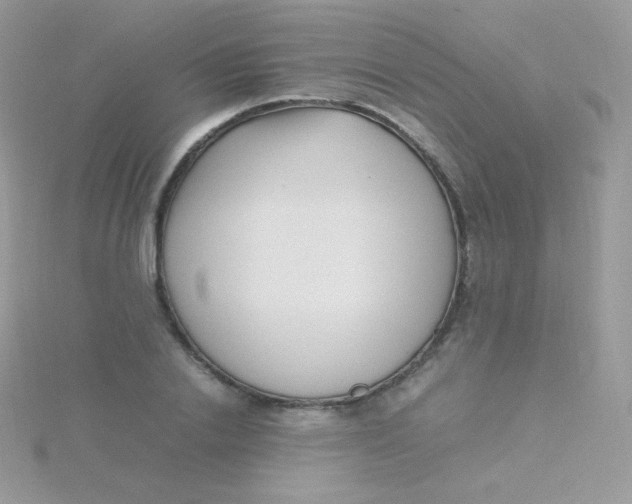 X0000115500838200911271408