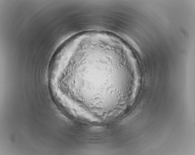 X0000115500839200911271408