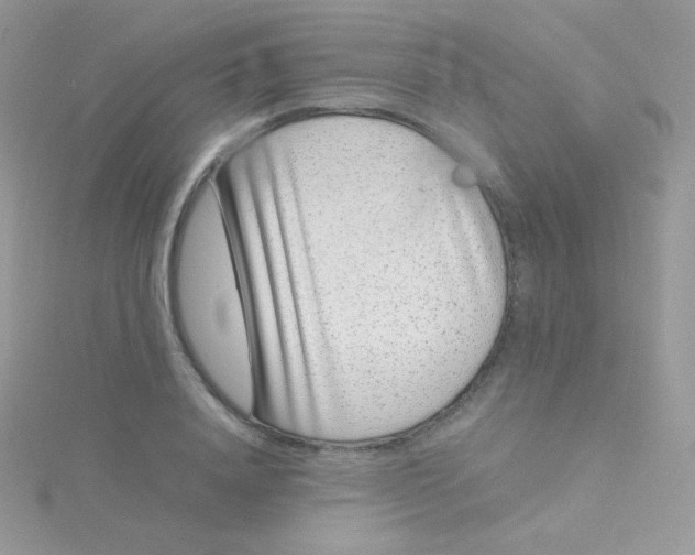 X0000115500840200911271408