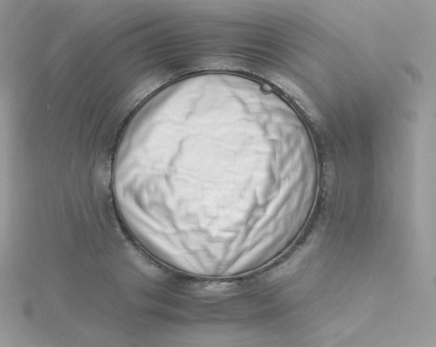 X0000115500841200911271408