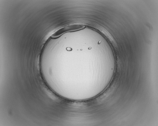 X0000115500842200911271408