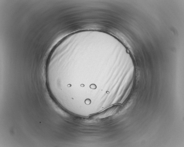 X0000115500843200911271408