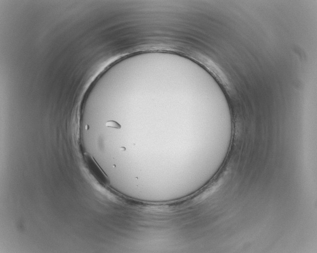 X0000115500844200911271408