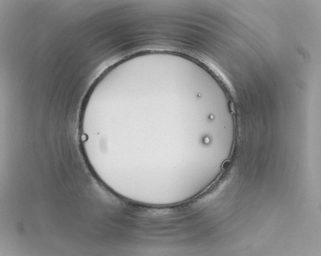 X0000115500845200911271408