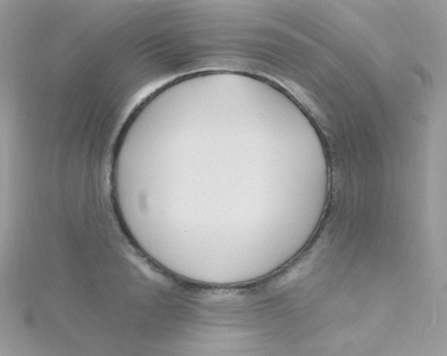 X0000115500846200911271408