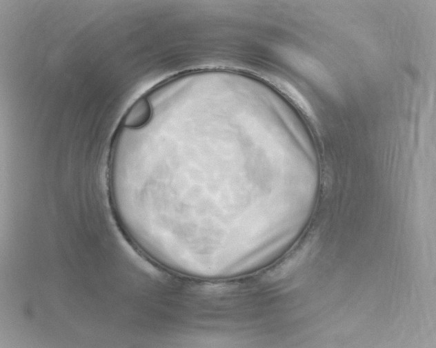 X0000115500847200911271408