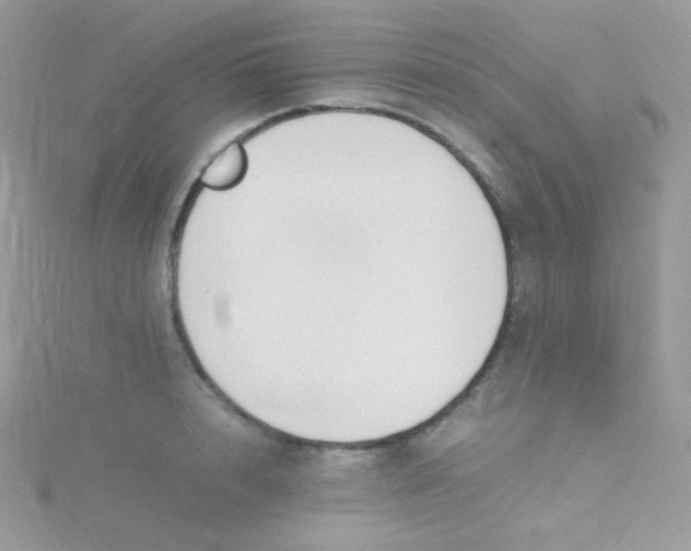 X0000115500848200911271408