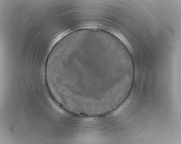 X0000115500850200911271408