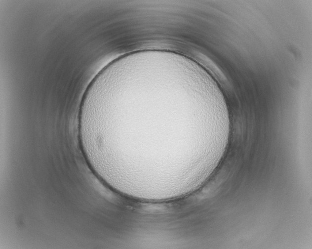 X0000115500852200911271408