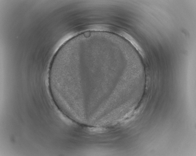 X0000115500853200911271408