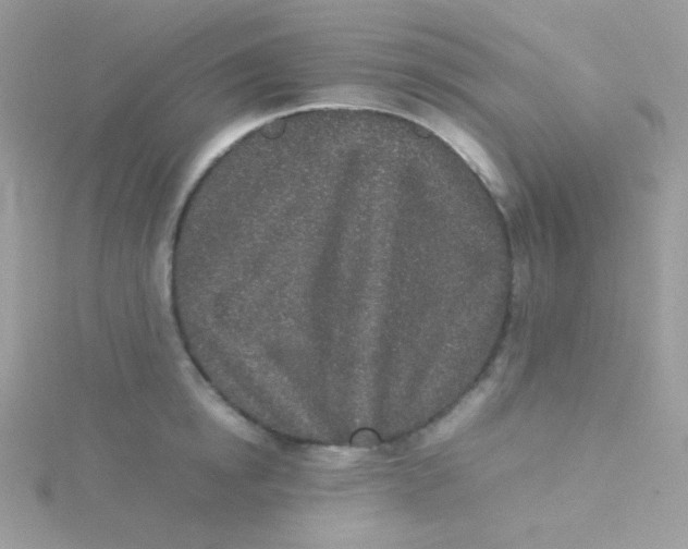 X0000115500854200911271408