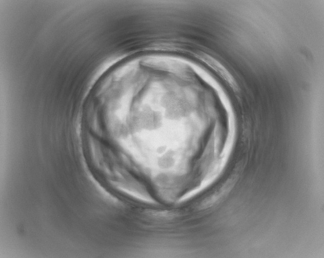 X0000115500855200911271408