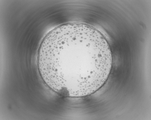 X0000115500856200911271408