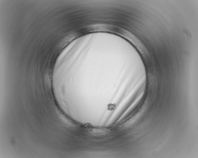 X0000115500857200911271408