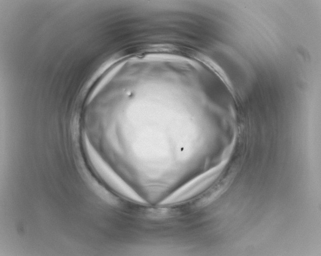 X0000115500859200911271408