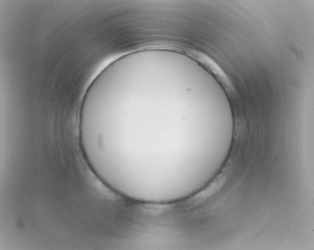 X0000115500860200911271408