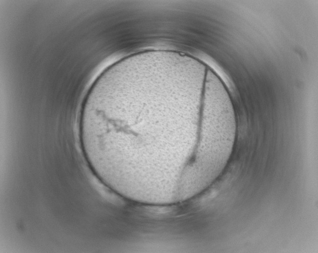 X0000115500861200911271408