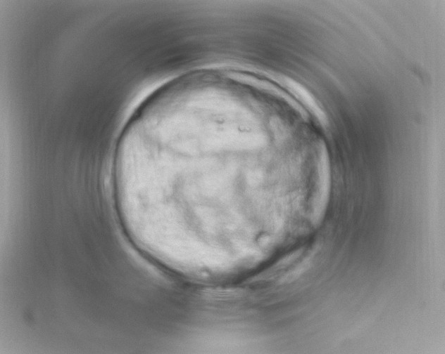 X0000115500863200911271408