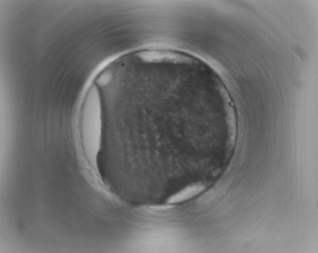 X0000115500864200911271408