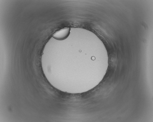 X0000115500865200911271408