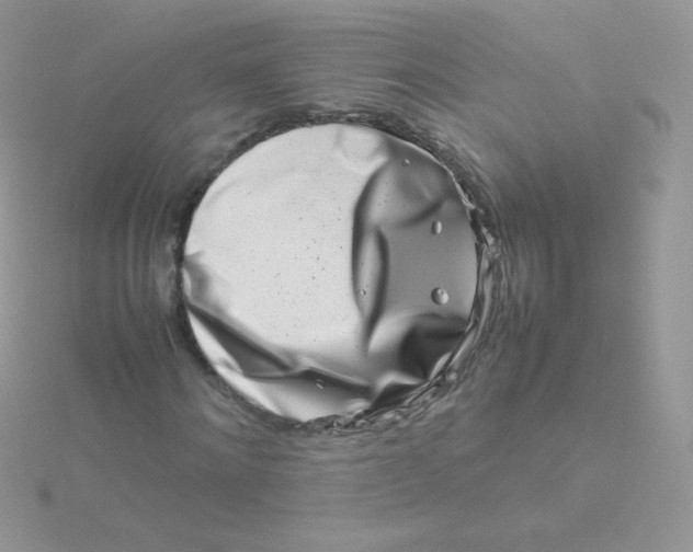 X0000115500868200911271408