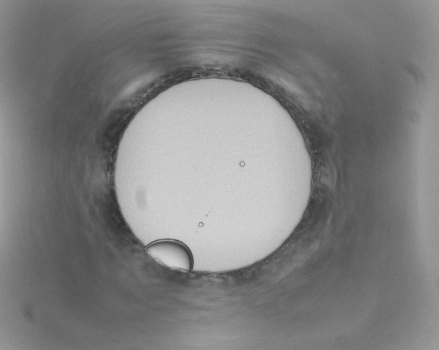 X0000115500869200911271408