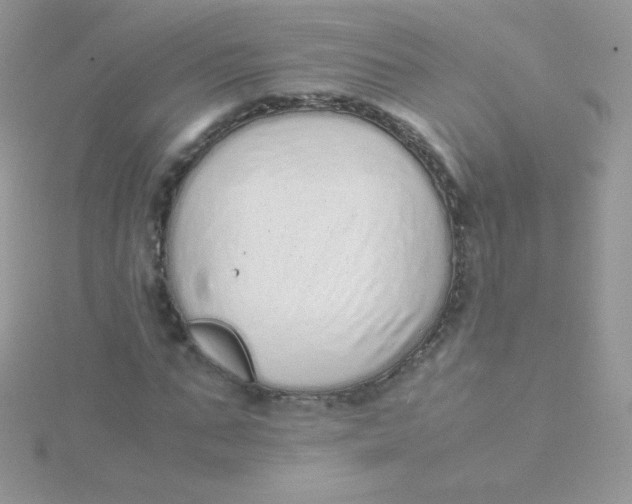 X0000115500871200911271408