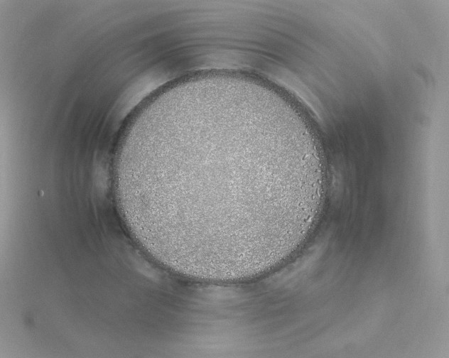 X0000115500874200911271408