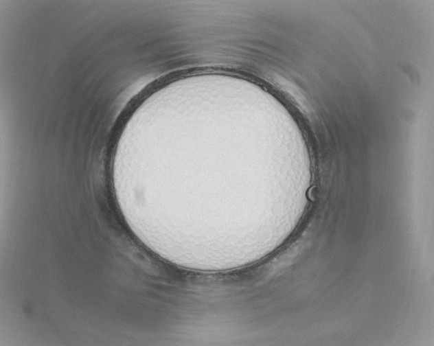 X0000115500875200911271408